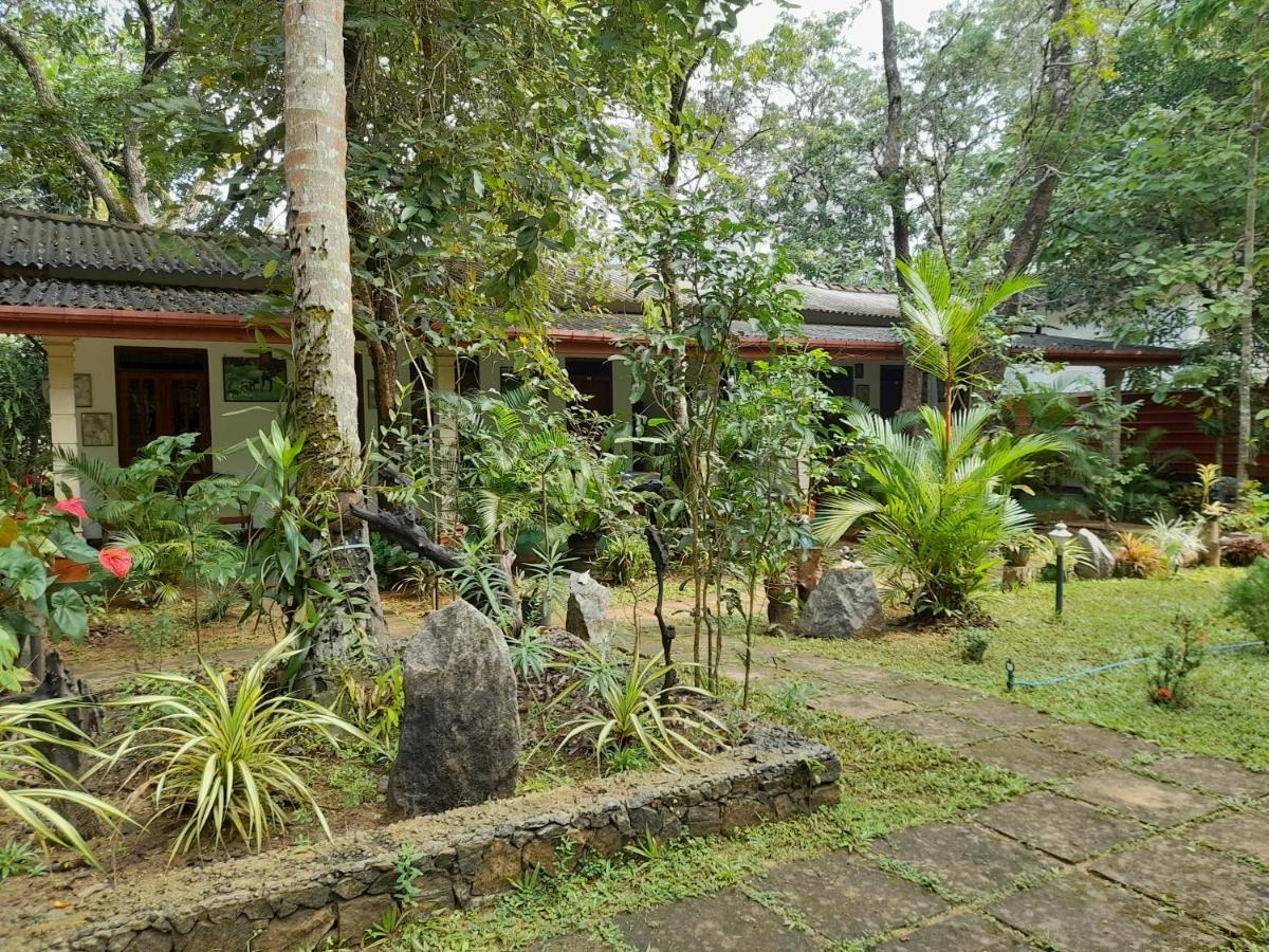 Sigiri Jungle Villa Сігірія Екстер'єр фото