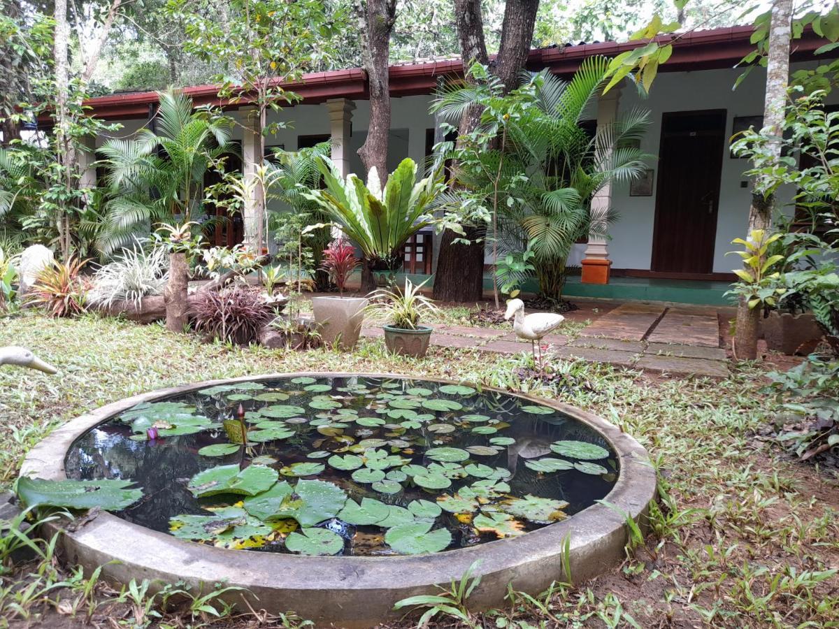 Sigiri Jungle Villa Сігірія Екстер'єр фото