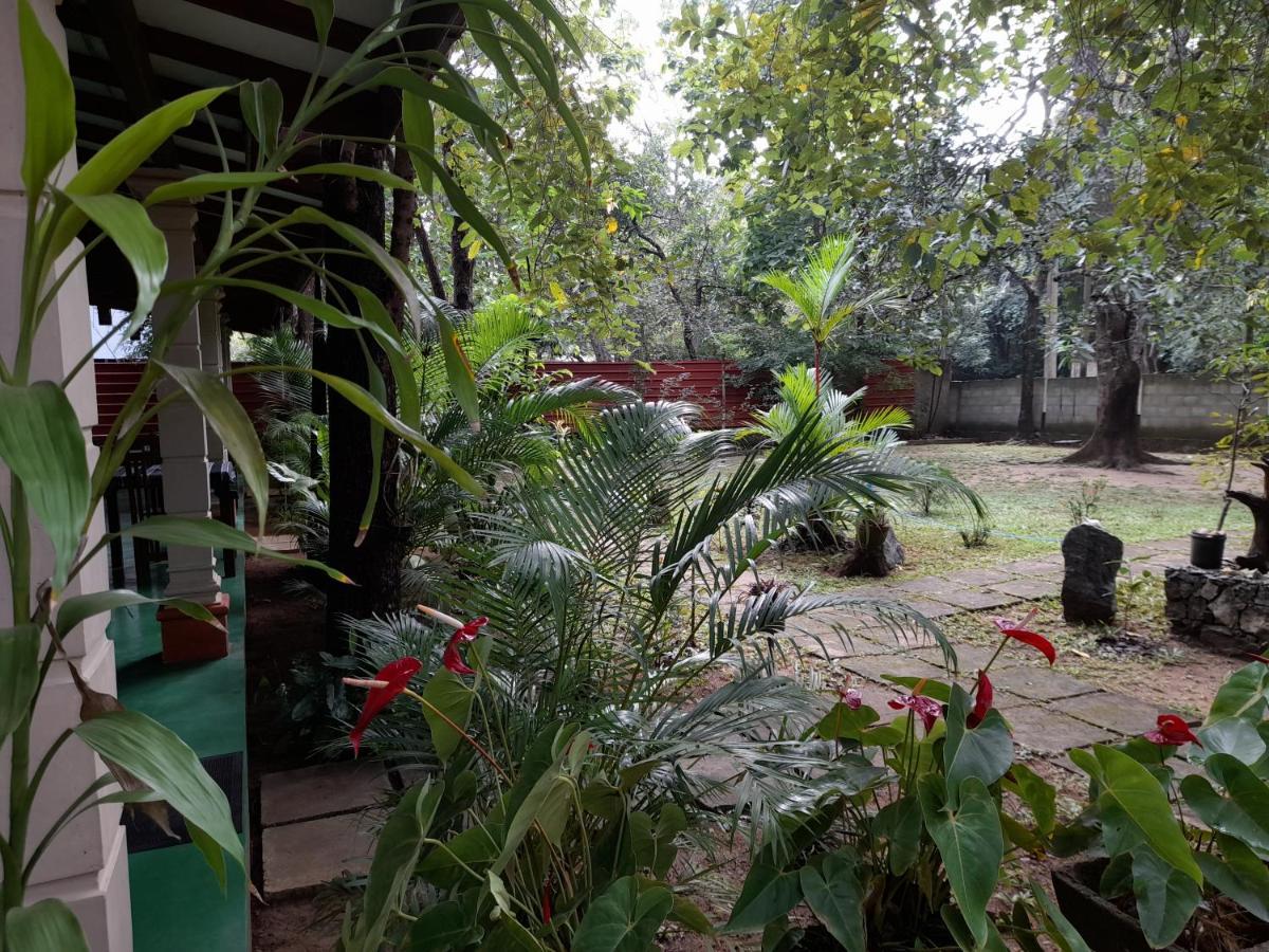 Sigiri Jungle Villa Сігірія Екстер'єр фото