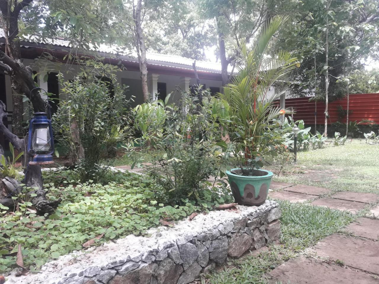 Sigiri Jungle Villa Сігірія Екстер'єр фото